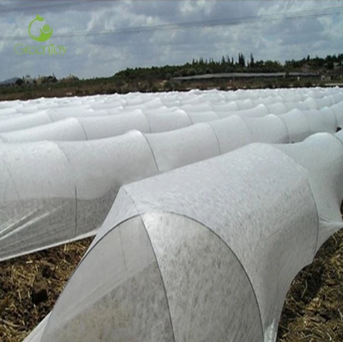 golden non woven